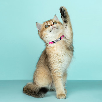 Εξατομικευμένο ρυθμιζόμενο νάιλον γιακά γάτα παπιγιόν Προϊόντα για κατοικίδια Μικρό μεγάλο γατάκι Floral γιακά αξεσουάρ Ετικέτα Μικρό κολιέ