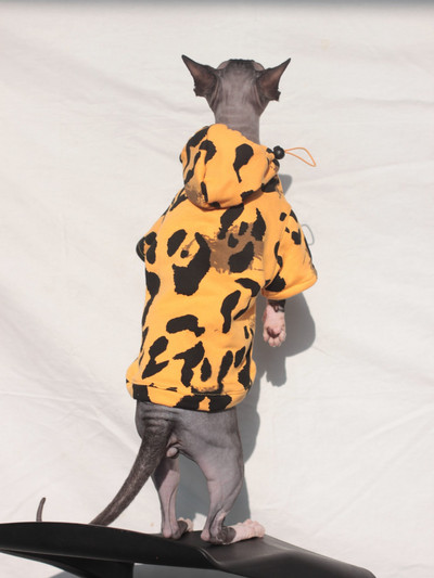 2022. Nova majica s kapuljačom s kapuljačom mačke sfinge za slobodno vrijeme Proljetna modna majica s kapuljačom u sportskom stilu sa šeširom Novi dolazak mačića Odjeća za kućne ljubimce za male pse