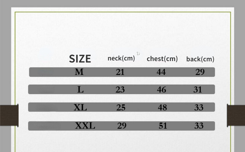 2022. Nova majica s kapuljačom s kapuljačom mačke sfinge za slobodno vrijeme Proljetna modna majica s kapuljačom u sportskom stilu sa šeširom Novi dolazak mačića Odjeća za kućne ljubimce za male pse