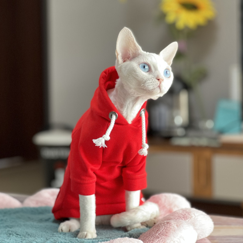C&C Red Sphinx Devon Rex odjeća za mačke pamuk Proljeće jesen topla Kitty majica Kitty Pet Apparel for Cat Sphynx Hairelss Cat Clothes