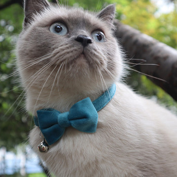 Котешка яка, кадифена панделка, регулируема предпазна катарама Gatos, папийонка, аксесоари за котки, яка за котки с камбанка, плътен цвят