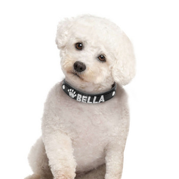 Εξατομικευμένο κολάρο γατών Rhinestone Puppy Small Dogs Collars Προσαρμοσμένο για Chihuahua Yorkshire Δωρεάν Όνομα Charms Αξεσουάρ για γάτες