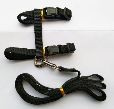 Kućni ljubimac, mačić, podesivi vučni pojas, uzica, odjeća za životinje, mačka, dodaci za mačiće, ular za štene, ogrlica bez kartona