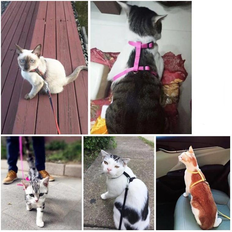 Kućni ljubimac, mačić, podesivi vučni pojas, uzica, odjeća za životinje, mačka, dodaci za mačiće, ular za štene, ogrlica bez kartona
