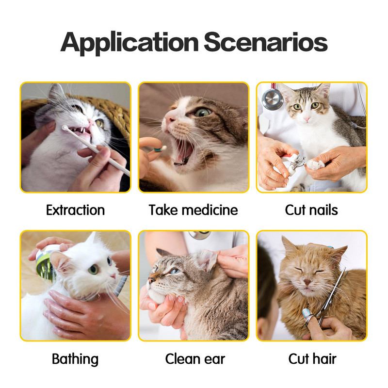 Vastupidav kassi seljakott kutsikate koerte kandekott polsterdatud õlaga lemmiklooma kassikandja õues kantav kaasaskantav pakend koeratarvete kandmiseks