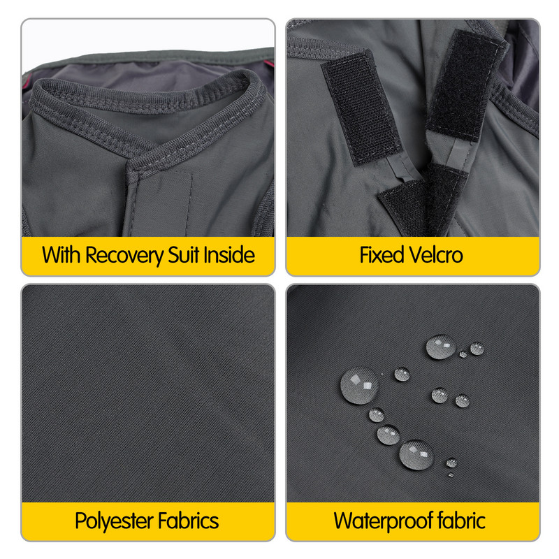 Vastupidav kassi seljakott kutsikate koerte kandekott polsterdatud õlaga lemmiklooma kassikandja õues kantav kaasaskantav pakend koeratarvete kandmiseks