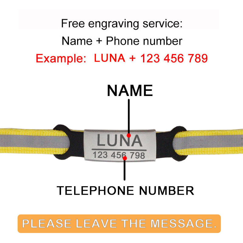 Guler din nailon, reflectorizant, personalizat, personalizat, gravură gratuită, pisică, câine mic, drăguț din nailon, reglabil pentru cățeluș, pisicuțe, colier