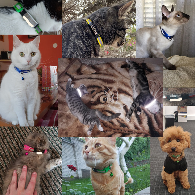 Guler din nailon, reflectorizant, personalizat, personalizat, gravură gratuită, pisică, câine mic, drăguț din nailon, reglabil pentru cățeluș, pisicuțe, colier
