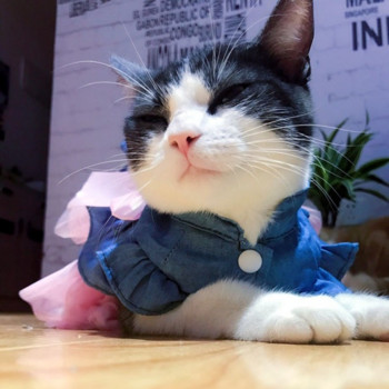 Φόρεμα Princess Cat Φούστα για γάτα Kawaii Στολή κατοικίδιων γατών Ροζ χαριτωμένη φούστα γάτας Άνοιξη και καλοκαίρι Κατάλληλο για τζιν φόρεμα για μικρά σκυλιά