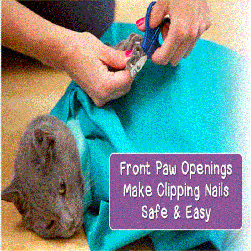 K-STAR Putna torba za mačke Transportna torba za mačke Udobna putna torba za mačke i maskote