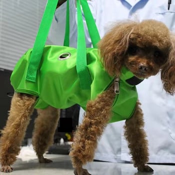 Pet Out Bag Преносима сгъваема раница за кучета Cat Чиста уредена чанта Избягвайте надраскване Специална фиксирана котешка чанта Подстригване на нокти Медицинска