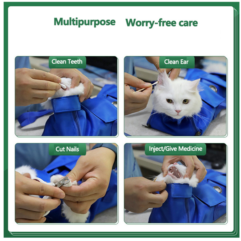 Lemmikloomade kott Kaasaskantav kokkupandav koera seljakott kassile puhas seisev kott Vältige kriimustamist Spetsiaalne fikseeritud kassikott Küünte lõikamine Meditsiiniline