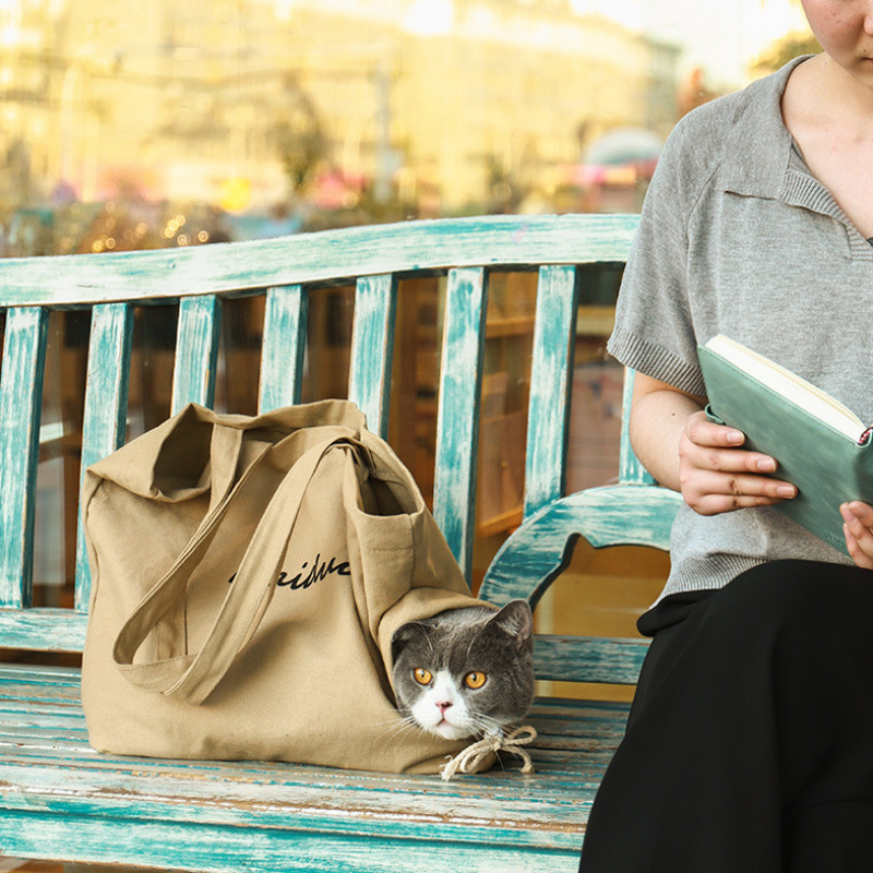 Lemmikloomakandjad Kaasaskantav hingav kokkupandav kott Kasside koerte kandekotid Väljaminevad reisid Lemmikloomad Käekott Pakend Lemmikloomatarvikute kandmine