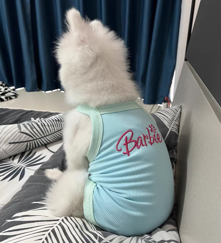 Ljetna odjeća za mačke, štene, ispis slova, kamisol za mačke, male pse, sfinge, odjeća za mače, sportski prsluk, odjeća ropa para gatos