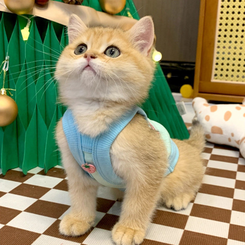 Ljetna odjeća za mačke, štene, ispis slova, kamisol za mačke, male pse, sfinge, odjeća za mače, sportski prsluk, odjeća ropa para gatos