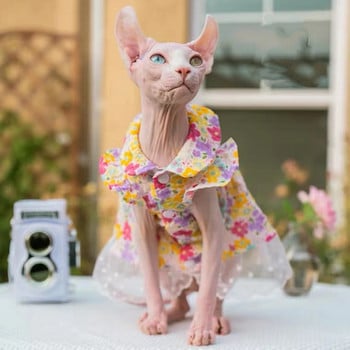 Sphinx Pet Cat Floral Φορέματα Πριγκίπισσα Ρούχα για Sphynx Cat Kitten Ζαρτιέρες Flower Lace Φούστα Devon Rex Καλοκαίρι Άνοιξη Φθινόπωρο