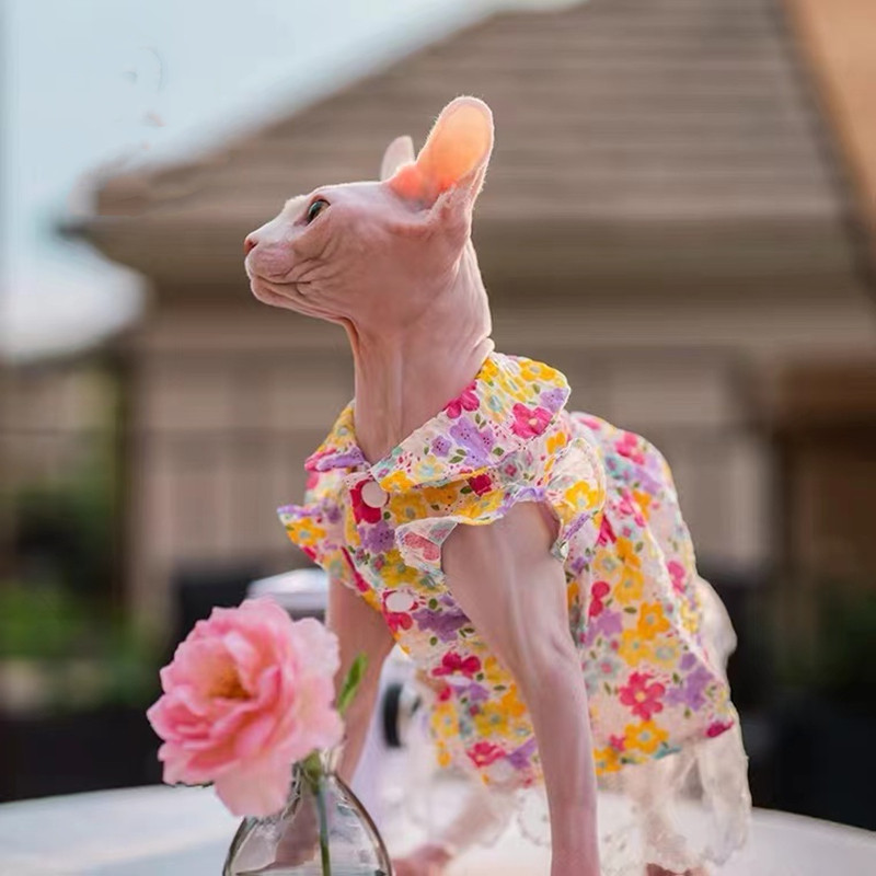 Sfinksi lemmiklooma kassi lillelised kleidid Printsessi riided Sfinksi kassi kassipoegale, lilleline pitsseelik Devon Rex suvine kevad sügis