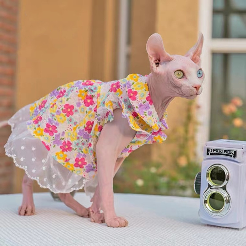 Sfinksi lemmiklooma kassi lillelised kleidid Printsessi riided Sfinksi kassi kassipoegale, lilleline pitsseelik Devon Rex suvine kevad sügis