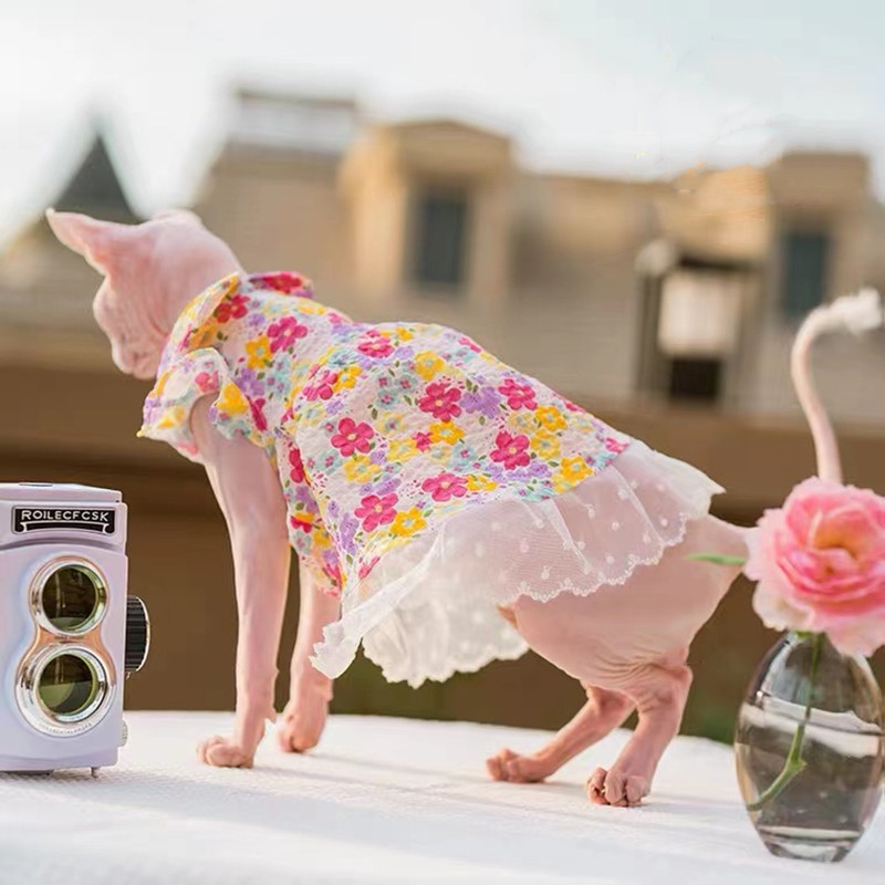 Sfinksi lemmiklooma kassi lillelised kleidid Printsessi riided Sfinksi kassi kassipoegale, lilleline pitsseelik Devon Rex suvine kevad sügis