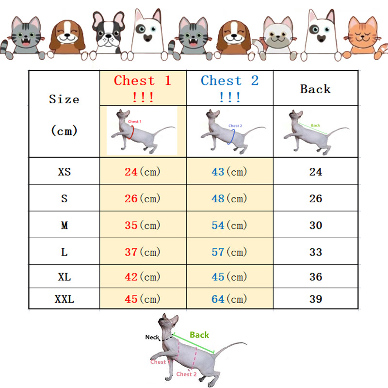 Sfinksi lemmiklooma kassi lillelised kleidid Printsessi riided Sfinksi kassi kassipoegale, lilleline pitsseelik Devon Rex suvine kevad sügis