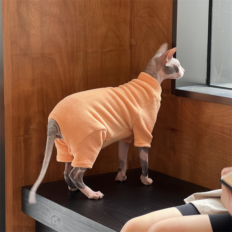 Zimska odjeća bezdlake mačke sfinge podebljava se kako bi zadržala toplinu Odjeća za četveronožne mačke Devon prekriva trbuh Za sprječavanje gubitka dlake