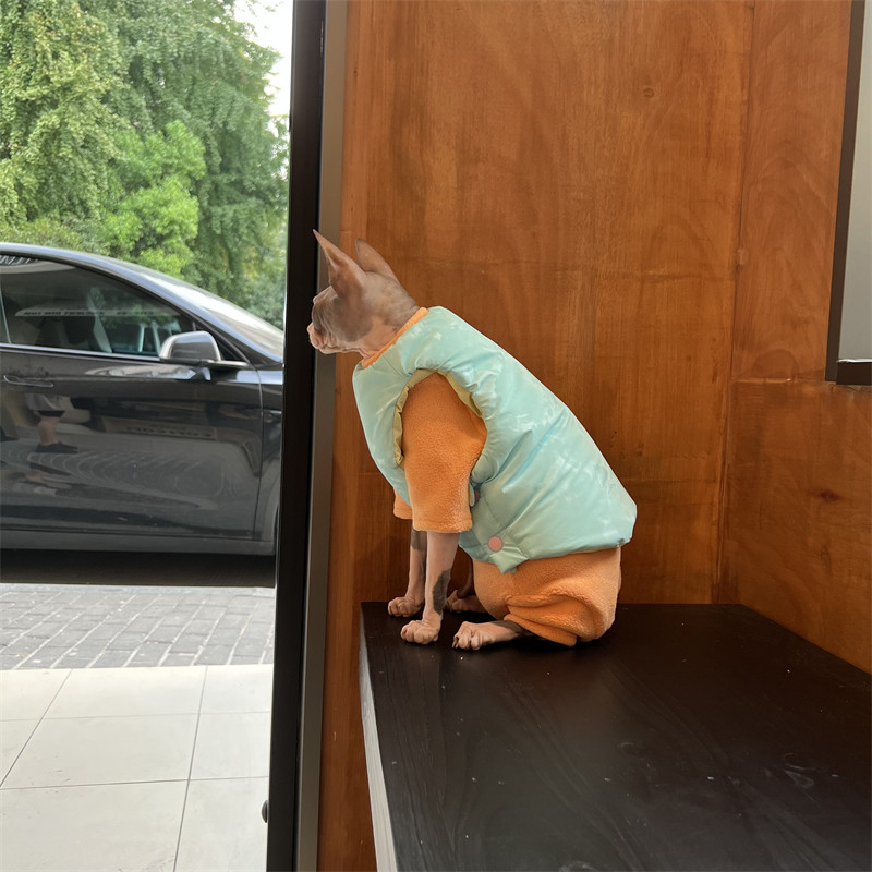 Zimska odjeća bezdlake mačke sfinge podebljava se kako bi zadržala toplinu Odjeća za četveronožne mačke Devon prekriva trbuh Za sprječavanje gubitka dlake