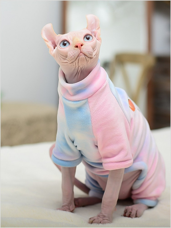 Odjeća za mačke sfinge Zimske tople mačke za kućne ljubimce Meke majice s kapuljačom Pulover Kombinezon za mačke sfinge Odjeća za slatke kostime za male pse