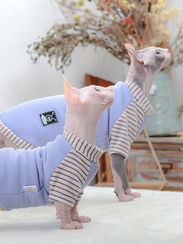 Odjeća za mačke za sfinge, zimske tople, slatke majice s mačićima, mekani kostimi za mačke sfinge, male srednje pse, mačke, jakna, odjeća ropa gato