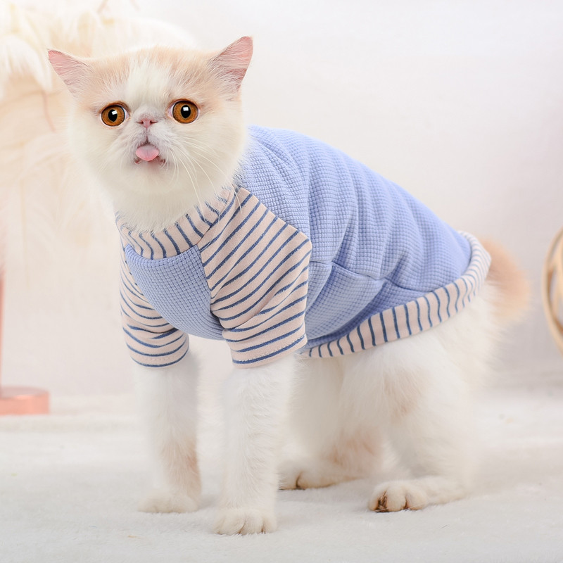 Odjeća za mačke za sfinge, zimske tople, slatke majice s mačićima, mekani kostimi za mačke sfinge, male srednje pse, mačke, jakna, odjeća ropa gato