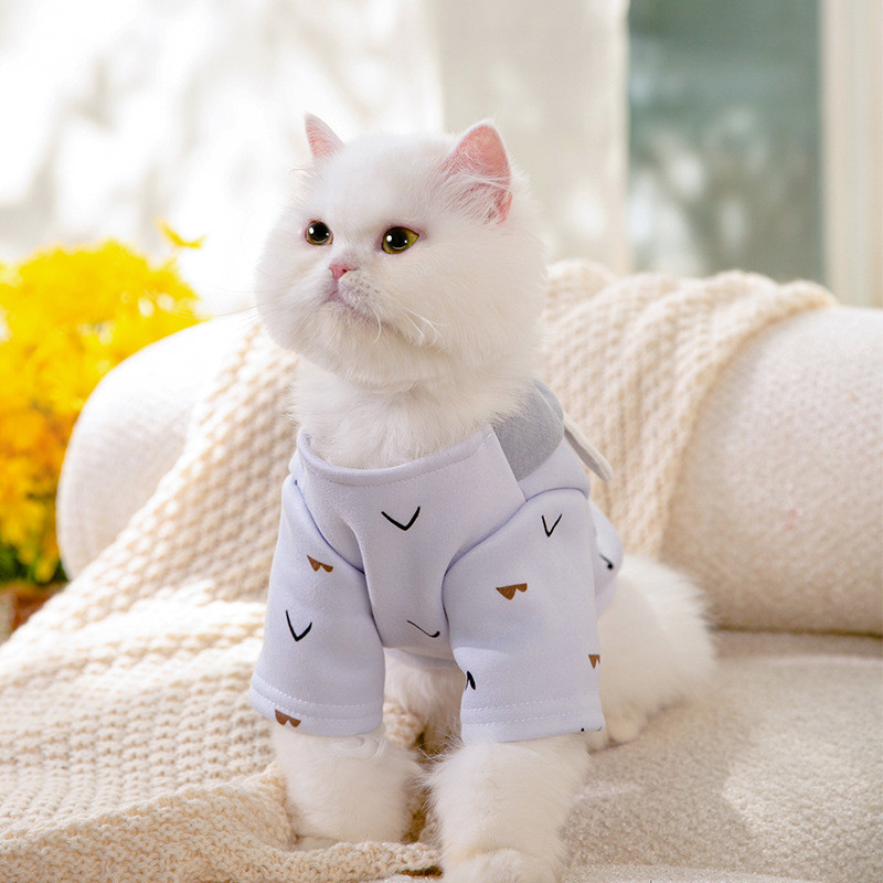 Armas Karu Lemmiklooma kampsun Talvine karvutu kass Sinine kass juuste väljalangemise vastane pullover Väike koer Kahe jalaga riided kassi riided hulgimüük