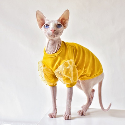 Snowflake Seersucker Fabric Sphinx Clothingt ljetna mačka Outftis Devon Rex tanke haljine za mačke Sphynx Odjeća za mačke bez dlake