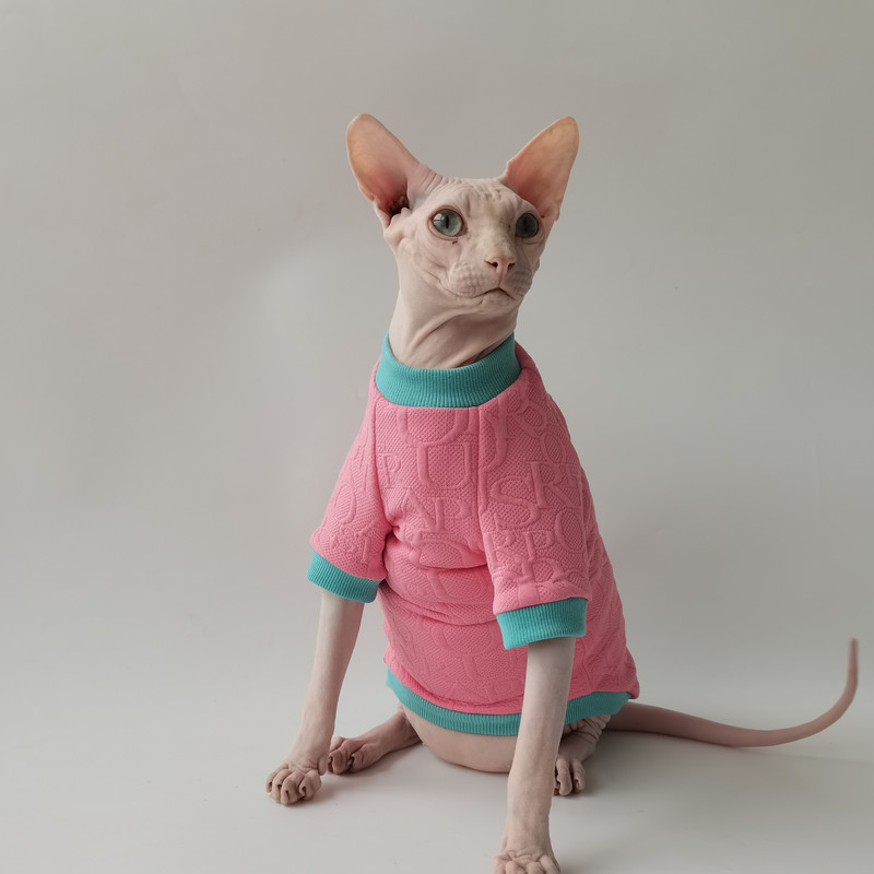 Pulover za košaricu za odjeću sfinge Jesen Zima Odjeća za mačiće Kostim bez dlake mačke Devon Rex Odjeća za odjeću mačke sfinge