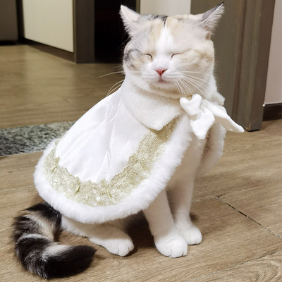 Baroksed lemmikloomade mantlid kassidele Väikeste koerte kassipoegade riided Ragdoll Teddy Conis Cosplay Sfinksi kassi kostüüm Karvutute kasside rõivad