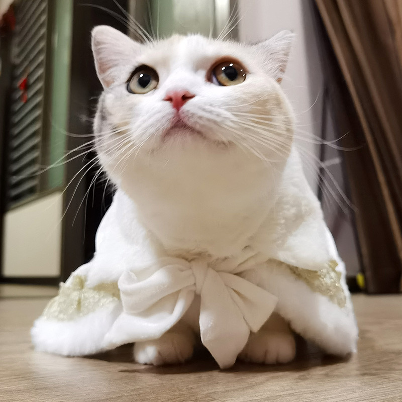 Baroksed lemmikloomade mantlid kassidele Väikeste koerte kassipoegade riided Ragdoll Teddy Conis Cosplay Sfinksi kassi kostüüm Karvutute kasside rõivad