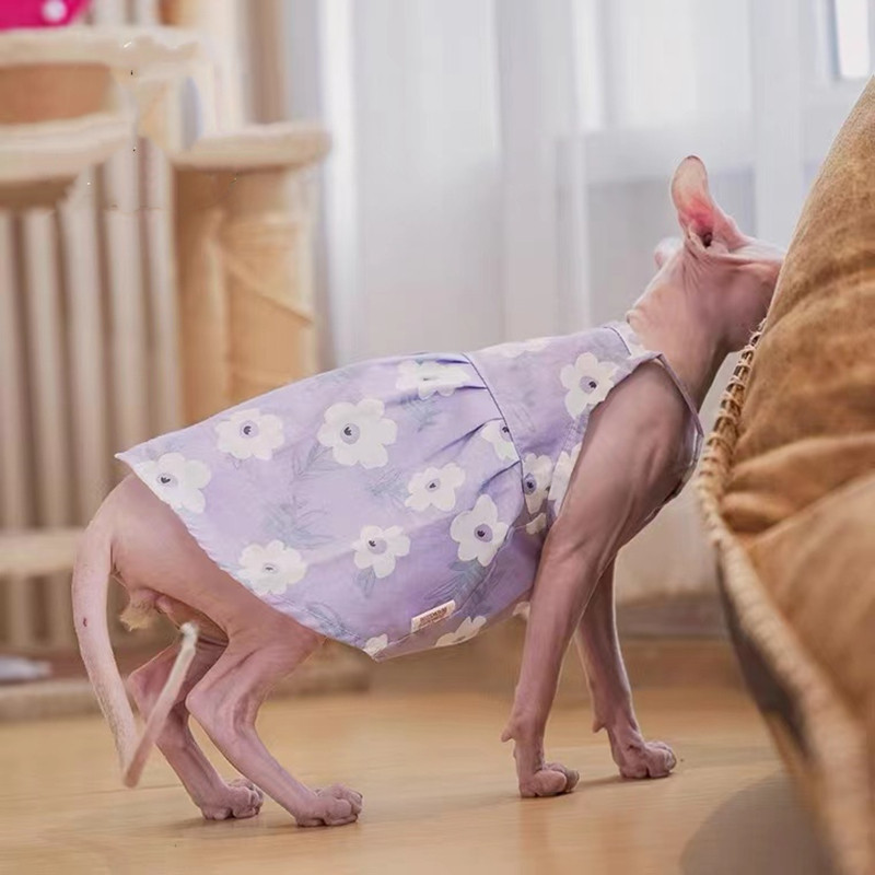 Μωβ φορέματα για γάτες Σφίγγα Κομψά γατάκια Ρούχα Πριγκίπισσα Ζαρτιέ Φούστα Μαλακό Ντέβον Ρεξ Στολή Sphynx Καλοκαίρι Άνοιξη Φθινόπωρο