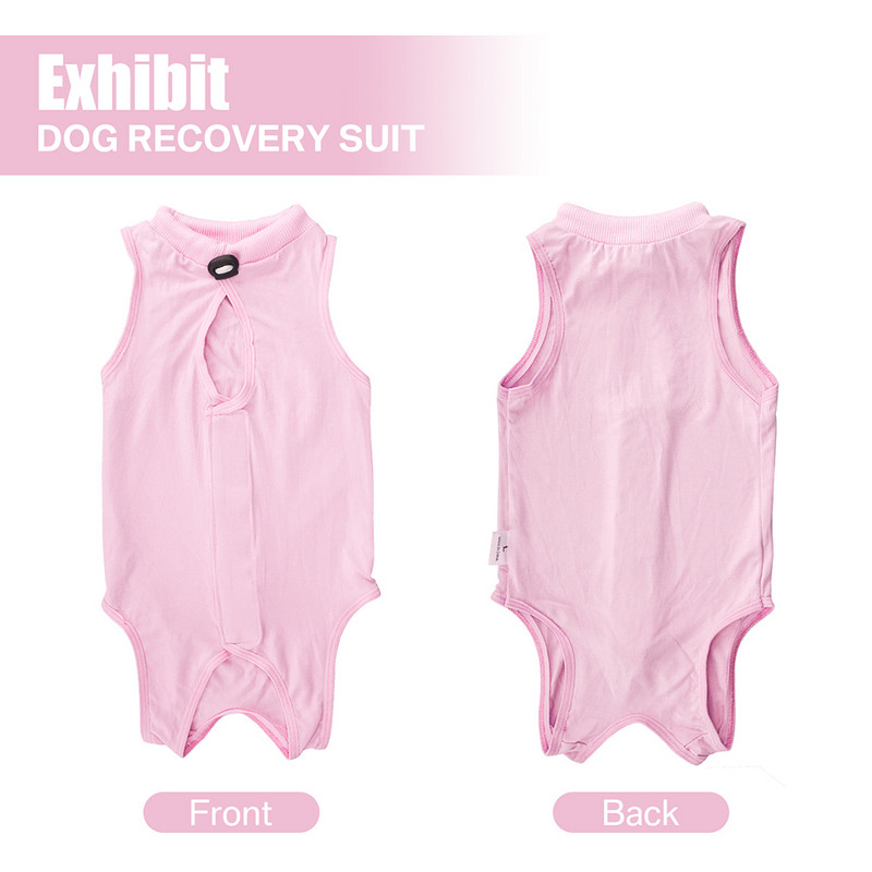 Kassi taastav ülikond Jumpsuit Hooldus Lemmik kassipoeg Hammustusvastane Vältida lakkumist pärast operatsiooni Kandke Vest Võõrutussärk Kassivestid