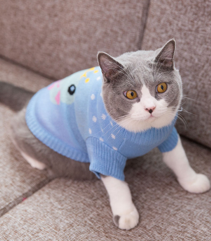 [MPK Store] Novi dizajn SWC džempera za mačke, džempera za pse, odjeće za mačke za hladnu sezonu, dostupne 3 boje