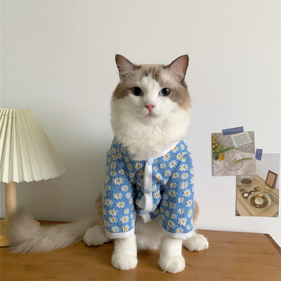 Kassiriided Talvine soe kutsikas kassipoeg Armas jakk Mantel Lemmikkoer Kardigan Kampsun Chihuahua pidžaama komplektid väikestele koertele kassid