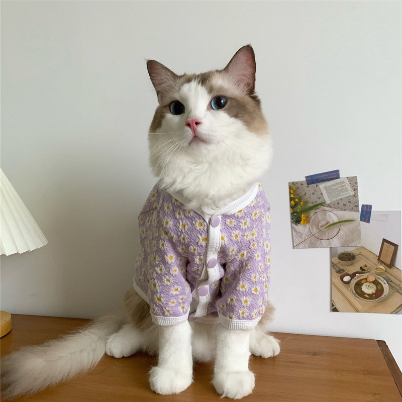 Kassiriided Talvine soe kutsikas kassipoeg Armas jakk Mantel Lemmikkoer Kardigan Kampsun Chihuahua pidžaama komplektid väikestele koertele kassid