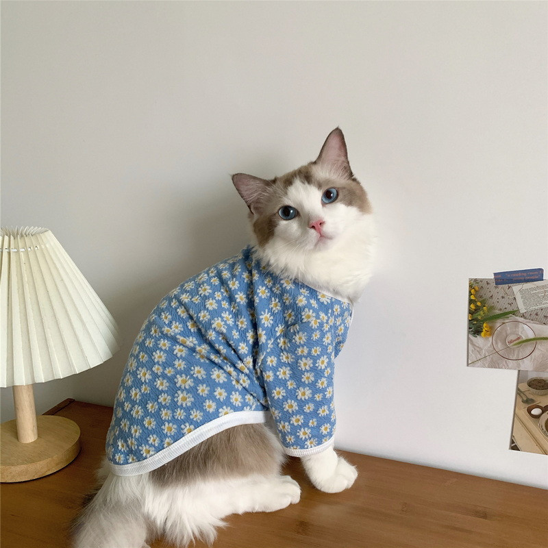 Kassiriided Talvine soe kutsikas kassipoeg Armas jakk Mantel Lemmikkoer Kardigan Kampsun Chihuahua pidžaama komplektid väikestele koertele kassid