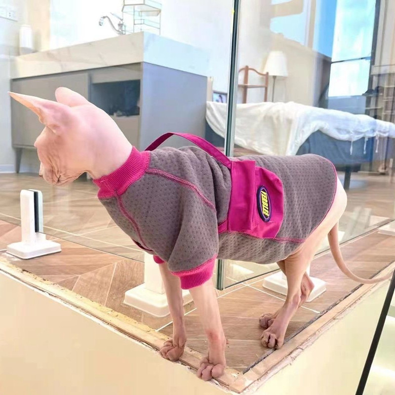 Χειμερινή άτριχη μπλούζα για γάτα Sphinx Coats Χωρίς κόκκαλο σακίδιο πλάτης Ρούχα Hairless Cat Devon Jumper Ρούχα για το χειμερινό φθινόπωρο