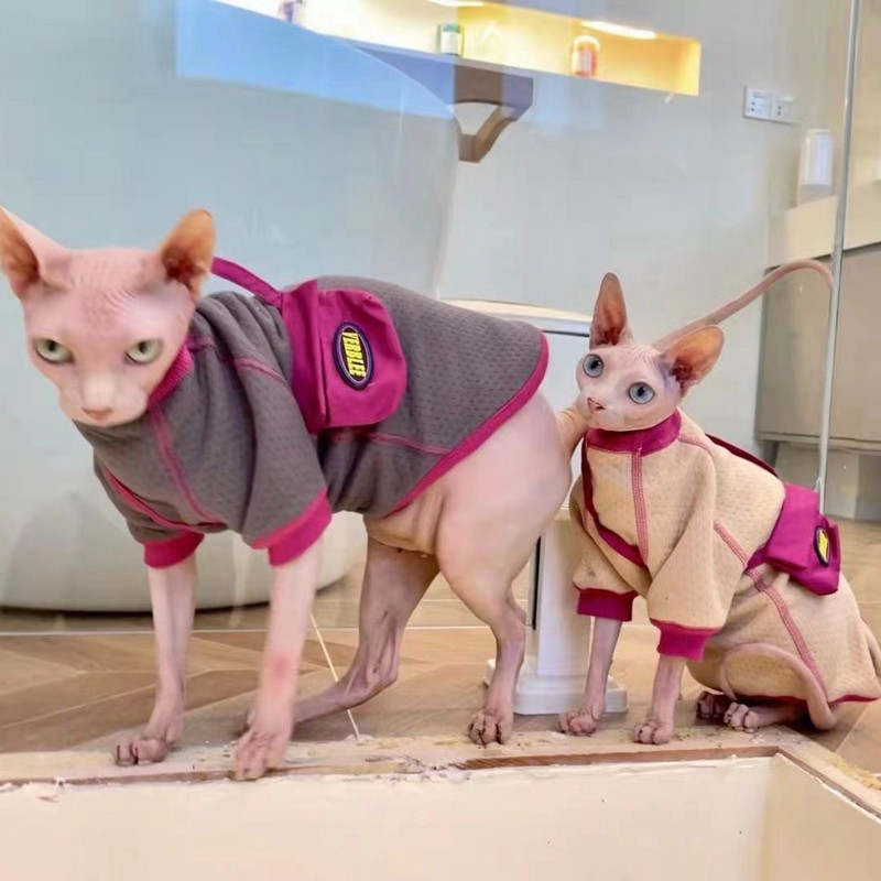 Χειμερινή άτριχη μπλούζα για γάτα Sphinx Coats Χωρίς κόκκαλο σακίδιο πλάτης Ρούχα Hairless Cat Devon Jumper Ρούχα για το χειμερινό φθινόπωρο