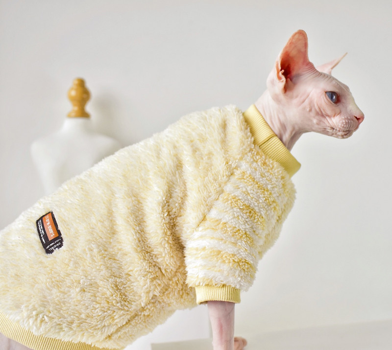 Kitten Jumper Devon Rex Φθινόπωρο Χειμώνας ζεστός Φαλακρός Kiten Στολές Πουλόβερ γάτα χειμερινό παλτό Hairelss Γάτα πουλόβερ sphynx cat