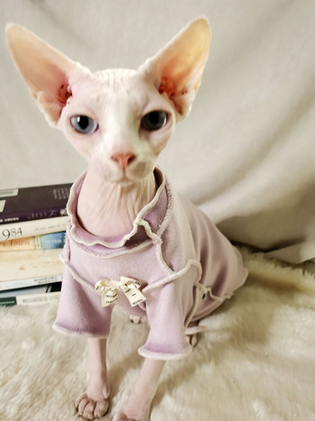 Άνοιξη Φθινόπωρο Φορώντας ρούχα για γάτα γατάκι Jumper Άτριχες γάτες Στολές για γάτα Παλτό γατούλα Χαριτωμένα ρούχα για γάτα Sphynx ρούχα για γάτες