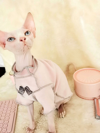 Άνοιξη Φθινόπωρο Φορώντας ρούχα για γάτα γατάκι Jumper Άτριχες γάτες Στολές για γάτα Παλτό γατούλα Χαριτωμένα ρούχα για γάτα Sphynx ρούχα για γάτες