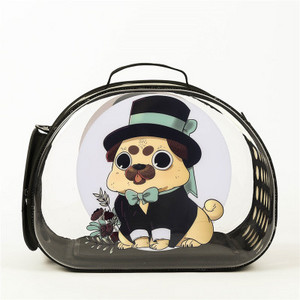 Φορητή τσάντα μεταφοράς γάτας Εξωτερική τσάντα ταξιδιού για κατοικίδια Διαφανής αναπνεύσιμη τσάντα με μοτίβο κινουμένων σχεδίων για σκύλους και γάτες