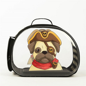 Φορητή τσάντα μεταφοράς γάτας Εξωτερική τσάντα ταξιδιού για κατοικίδια Διαφανής αναπνεύσιμη τσάντα με μοτίβο κινουμένων σχεδίων για σκύλους και γάτες