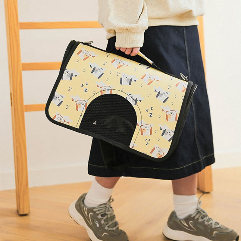 Mačka, pas, torbica za kolica, prozirni prozorski kovčeg, akrilna putna torba za van, svemirska kapsula, ruksak, ruksak, torba za prijevoz kućnih ljubimaca