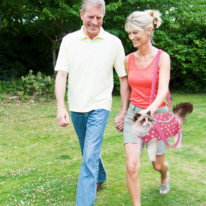 Purtători pentru animale de companie Rucsac pentru câini Genți cu mâner de umăr Geantă de transport pentru pisici de călătorie în aer liber pentru câini de talie mică Saci pentru cățeluș Produse pentru animale de companie