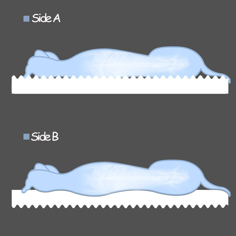 Plišani krevet za mačke 3D Memory Spužva Krevet za kućne ljubimce za mačke Pse Uklonjiva periva podloga za gnijezdo za kućne ljubimce s patentnim zatvaračem bez jastuka Dodaci za mačke
